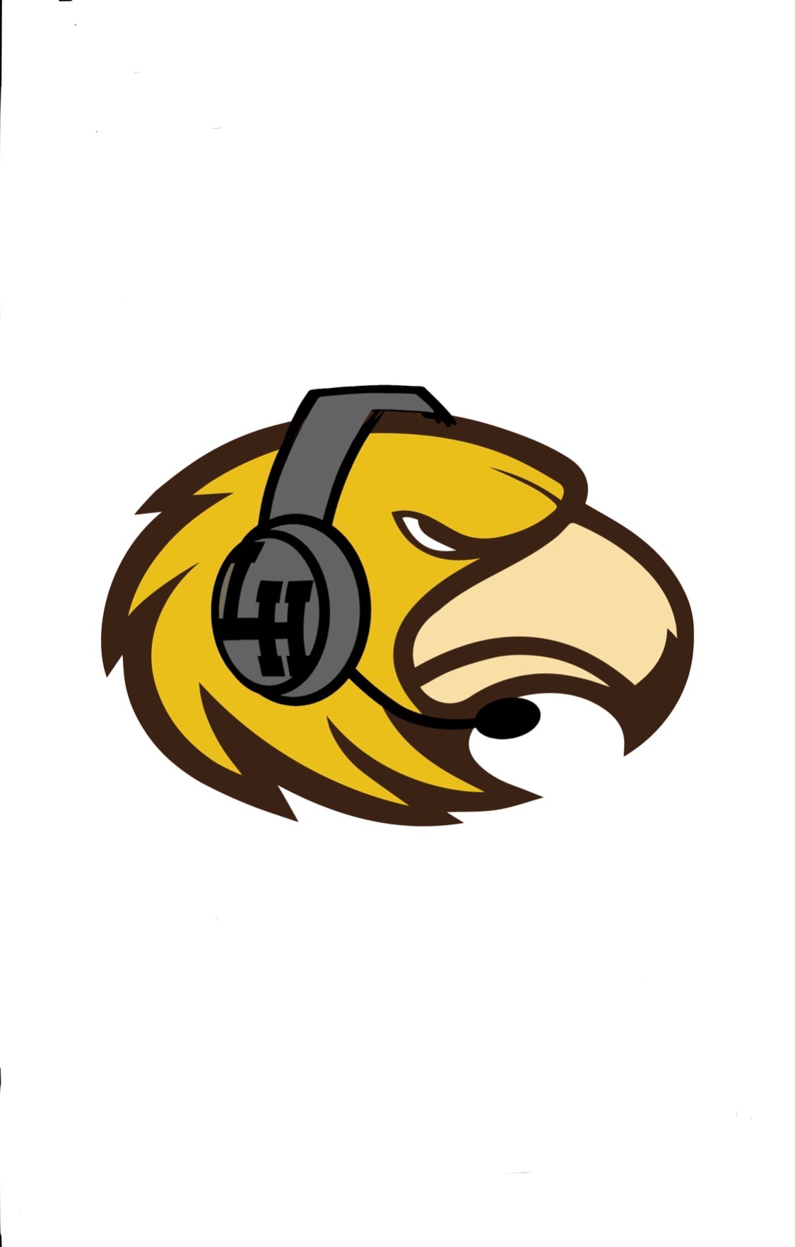 Image of laguna hills hawks gaming club